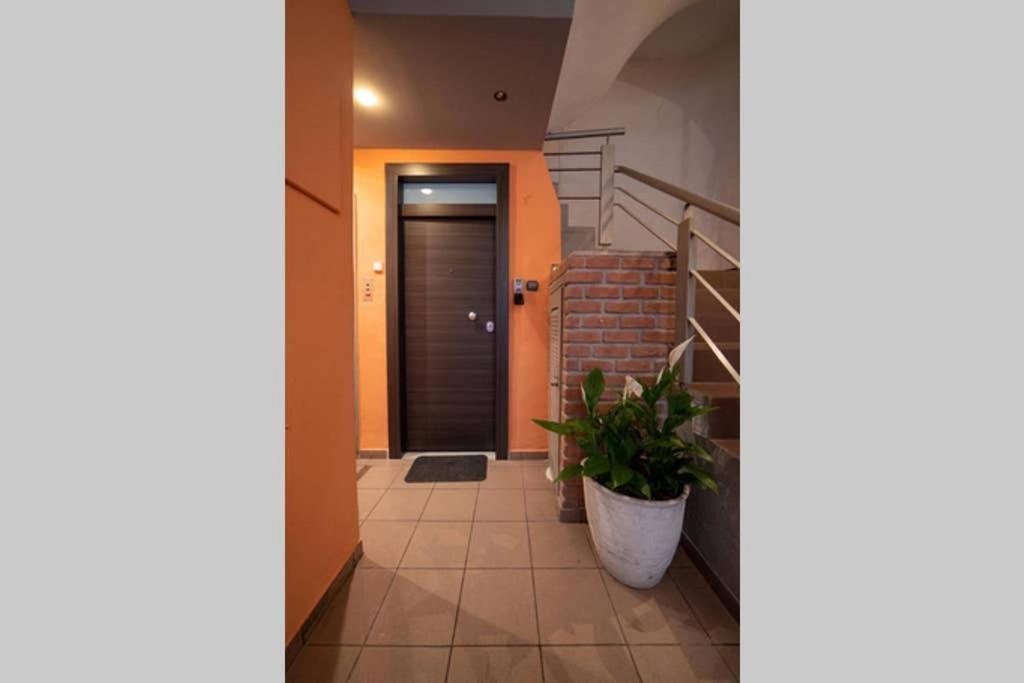 Brand New Aprt With Backyard In Lycabettus Hill ! Leilighet Athen Eksteriør bilde
